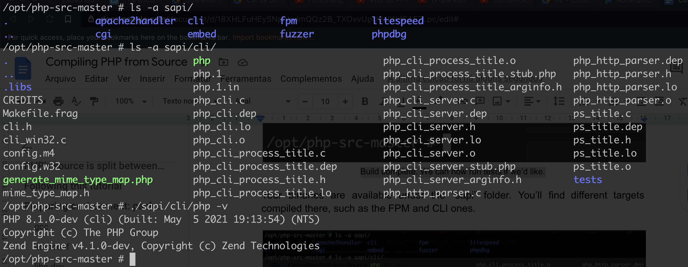 Compiled targets are inside the “sapi/” folder. Image shows the usage of CLI target.